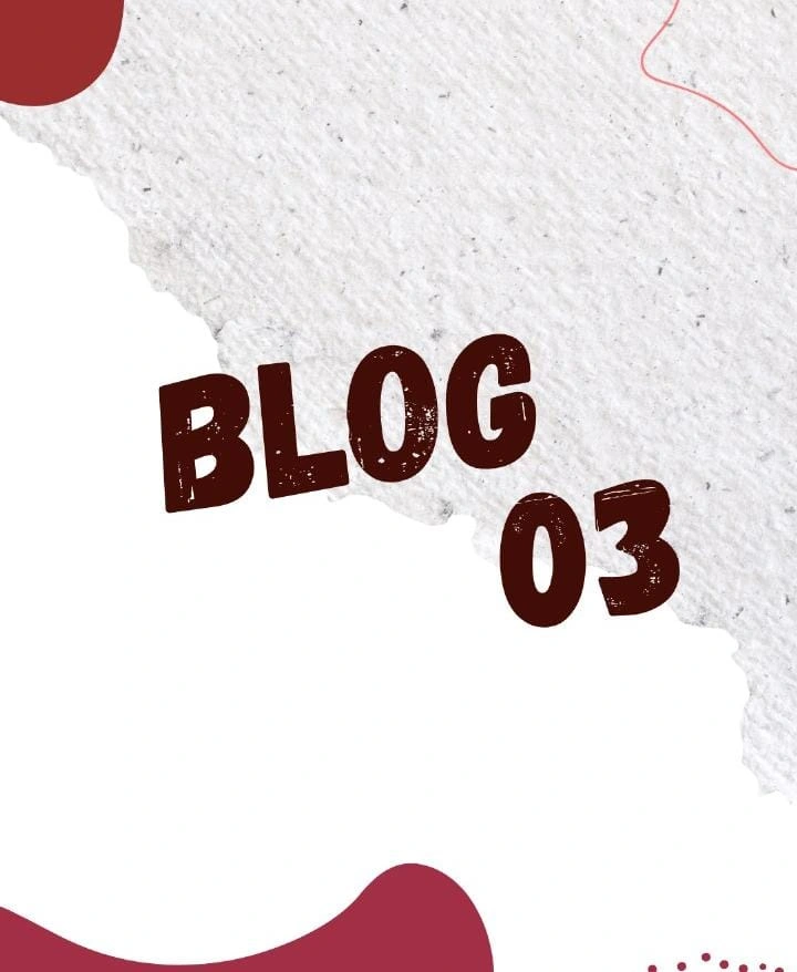 image of best digital marketing expert in calicut in blog of The Evolution of Google Search How AI and Conversational Search Are Changing SEO